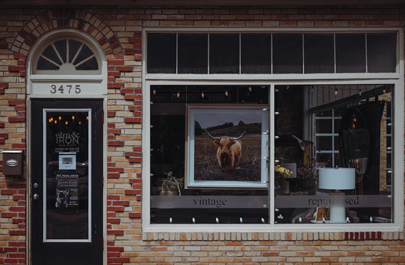 Dion's House Salad with fresh greens and vegetables